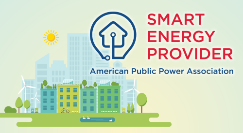 Smart Energy Provider