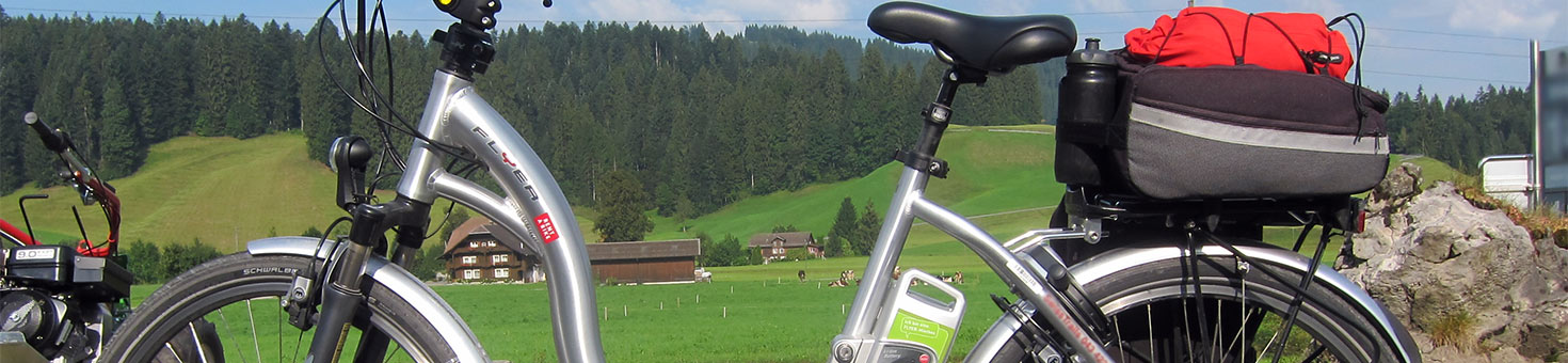 Ebike