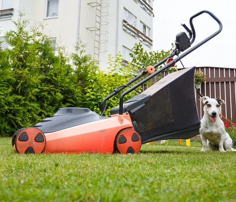 Lawn Mowers & Leaf Blowers