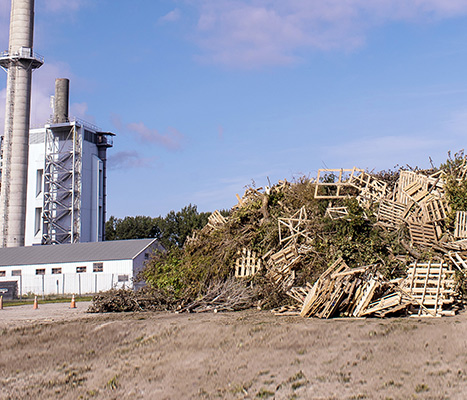 Waste Wood Yard